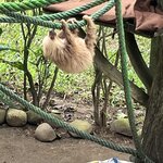 Photo taken by Cassio S