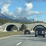 Photo taken by Debbie W