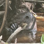 Photo taken by Mark A