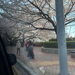 Photo taken by Kory D