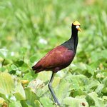 Photo taken by Graeme W