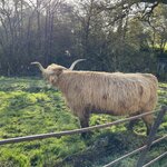 Photo taken by David L