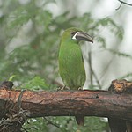 Photo taken by Marcia G