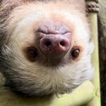 Photo taken by Beth Ann A