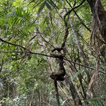 Photo taken by Charles H