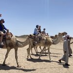 Photo taken by Lisa W