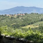 Photo taken by Judi S