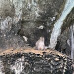 Photo taken by David W