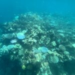 Photo taken by Cindy H