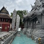 Photo taken by Leslie S