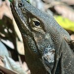 Photo taken by Ben B