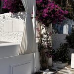 Photo taken by Teresa R