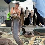 Photo taken by Pam L