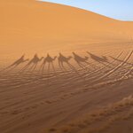 Photo taken by Cristy C