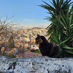 Photo taken by Matt M