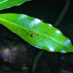 Photo taken by Julie S