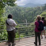 Photo taken by Joyce C