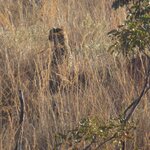 Photo taken by Ingenie D