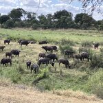 Photo taken by rhonda c