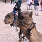 Photo taken by Marion M