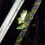 Photo taken by Brett F