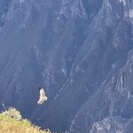 Photo taken by Alpa M