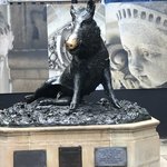 Good luck pig | Photo taken by Alfredo H