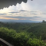 Bosques del Salman, Alcalá  | Photo taken by Gloria B