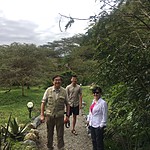 Giraffes at Hatari | Photo taken by Jonathan G