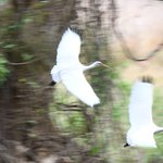 Photo taken by Graeme W