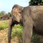 Photo taken by Karyn R