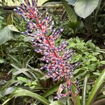 Photo taken by SANTHI S