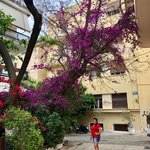 Photo taken by Joel S