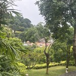 Photo taken by Dianne M