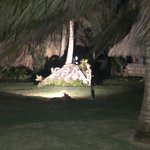 Photo taken by Juliette S