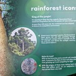 Photo taken by Daniel S