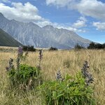 Photo taken by Lisa S