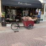 Flower shop in Harlaam | Photo taken by Karen P