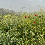 Photo taken by Jackie O