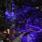 Photo taken by Brett F