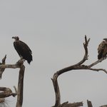 Photo taken by Kristin M