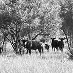 Photo taken by Jeanine B