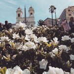 Photo taken by Beatrix P