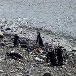 Photo taken by Carmen P