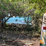 Photo taken by mimi s