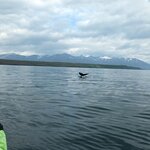 Photo taken by Jon A