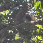 Photo taken by Bonnie Y