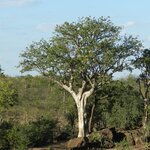 Photo taken by Linette B