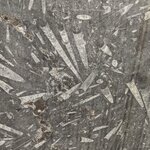 Photo taken by Cynthia D