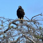 Photo taken by Gary W